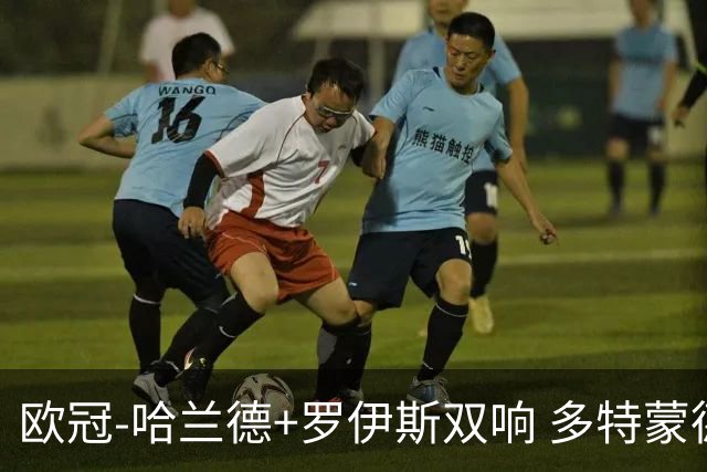 欧冠-哈兰德+罗伊斯双响 多特蒙德5-0大胜进欧联
